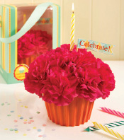 Cupcake in Bloom in Hot Pink.tif