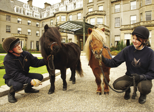 Shetland ponies at the hotel entrance