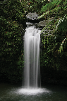 A waterfall in Puerto Rico’s El Yunque National Forest