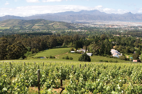 Kings Kloof vineyards in Stellenbosch, South Africa