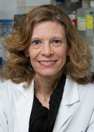 Christine Metz, Ph.D., Feinstein Institutes for Medical Research