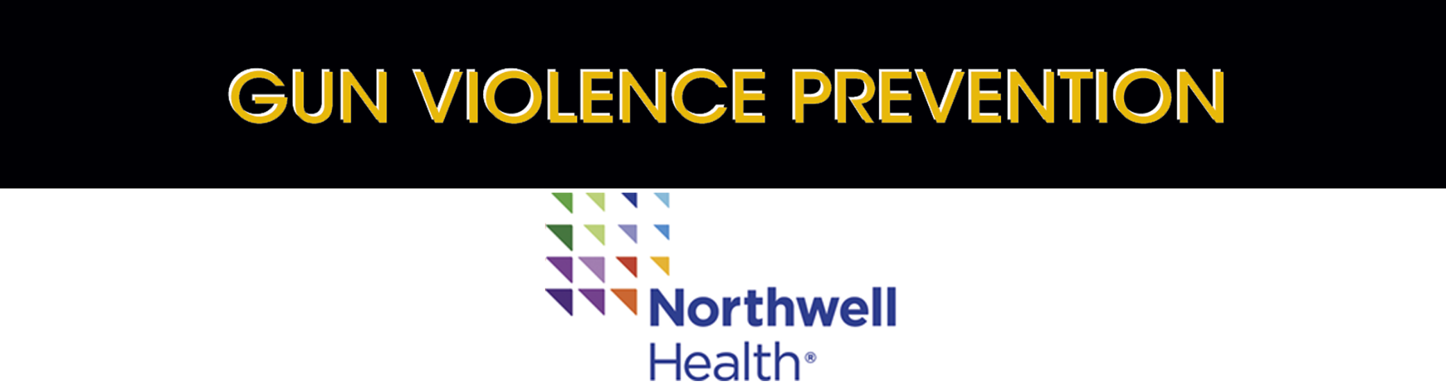 Gun Violence Prevention - Northwell Health