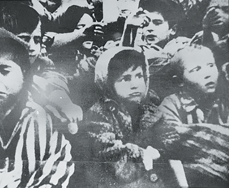 Michael Bornstein Auschwitz