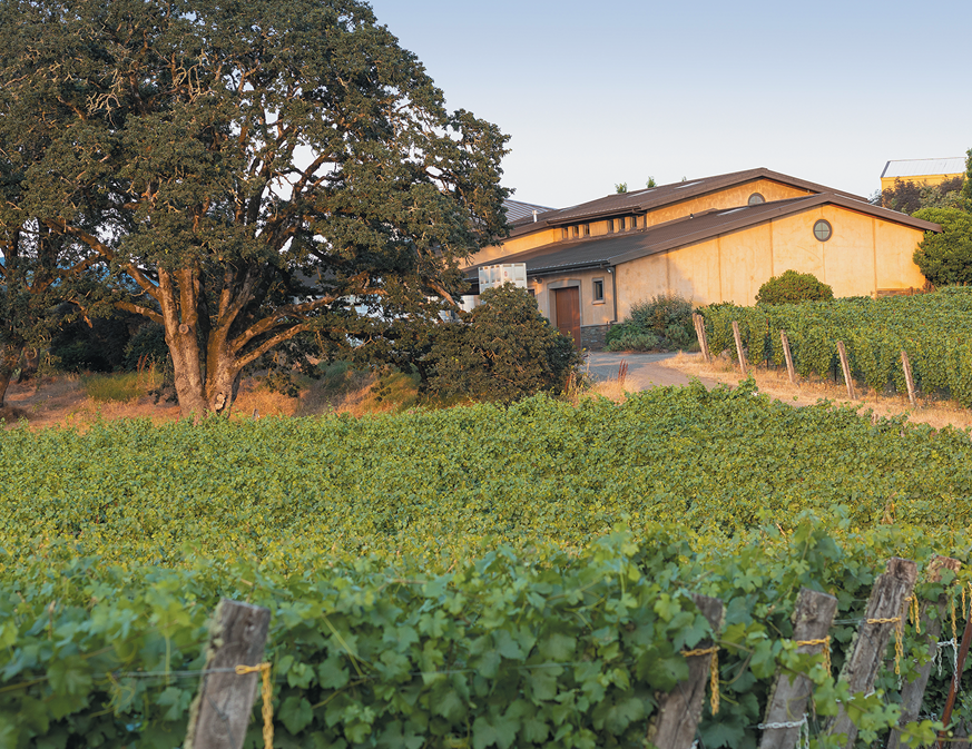 Appassionata Estate vines and winery