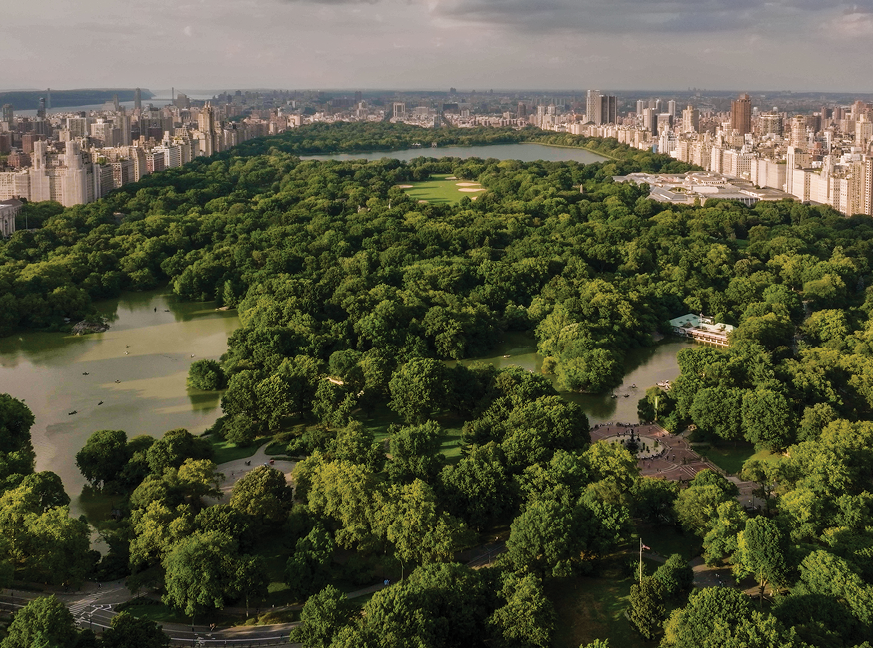 View from The Ritz-Carlton New York, Central Park