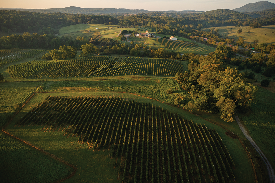 Barrel Oak Winery & Brewery in Virginia