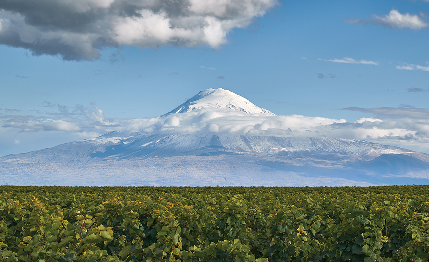 Karas Wines vineyards in Armenia with Mount Ararat in the distance
