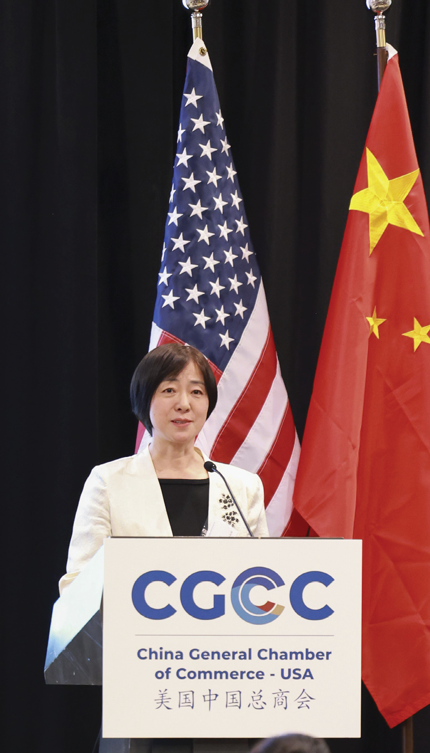 Dr. Jianyu Zhang speaking at China General Chamber of Commerce – USA